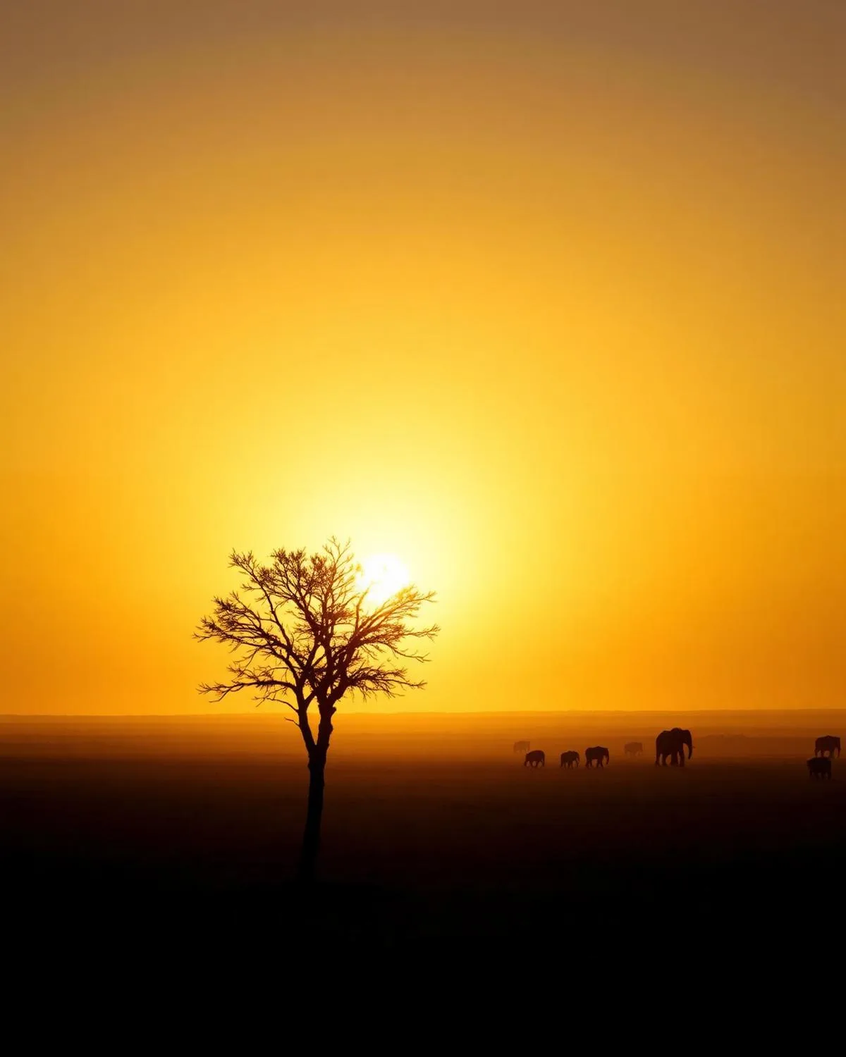 Best of East Africa Safari